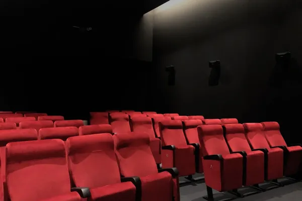 Sièges d’Auditorium VIP : Rehaussez Votre Espace avec Euro Seating Solutions